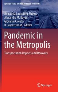 Pandemic in the Metropolis edito da Springer International Publishing
