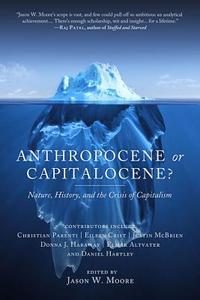 Anthropocene Or Capitalocene? di Elmar Altvater, Eileen C. Crist, Donna J. Haraway edito da PM Press