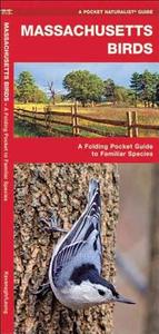 Massachusetts Birds: A Folding Pocket Guide to Familiar Species di James Kavanagh, Waterford Press edito da Waterford Press