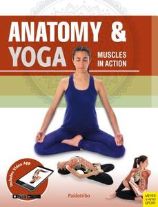 Anatomy & Yoga: Muscles in Action di Mireia Patino Coll edito da MEYER & MEYER MEDIA