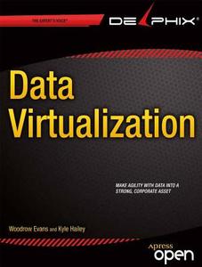Virtualizing Data In Databases: Creating The Agile Data Platform di Woodrow Evans, Kyle Hailey edito da Apress