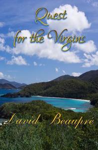 Quest for the Virgins: A True Caribbean Sailing Adventure di David Beaupre edito da Buddha Bees