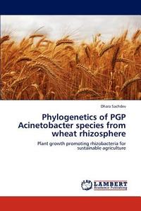 Phylogenetics of PGP Acinetobacter species from wheat rhizosphere di Dhara Sachdev edito da LAP Lambert Academic Publishing