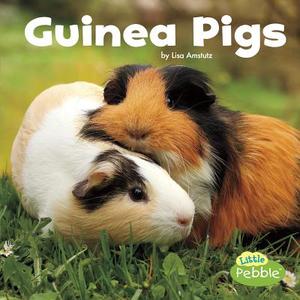Guinea Pigs di Lisa J. Amstutz edito da CAPSTONE PR