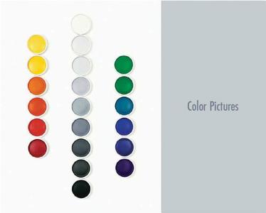 Color Pictures di Frances Colpitt edito da Texas Christian University Press