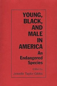 Young, Black, and Male in America di Ann Brunswick, Michael Connor edito da Praeger