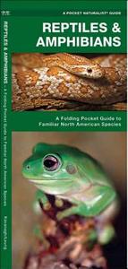 Reptiles & Amphibians: An Introduction to Familiar North American Species di James Kavanagh edito da Waterford Press