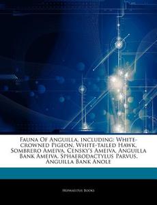 Fauna Of Anguilla, Including: White-crow di Hephaestus Books edito da Hephaestus Books