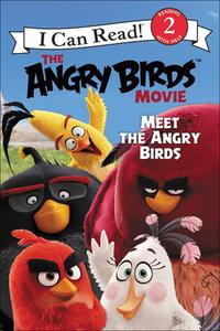 The Angry Birds Movie: Meet the Angry Birds di Chris Cerasi edito da TURTLEBACK BOOKS