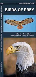 Birds of Prey: An Introduction to Familiar North American Species di James Kavanagh edito da Waterford Press