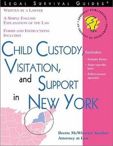 Child Custody, Visitation and Support in New York di Brette McWhorter Sember edito da Sphinx Publishing