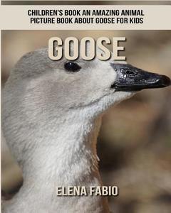 Children's Book: An Amazing Animal Picture Book about Goose for Kids di Elena Fabio edito da Createspace Independent Publishing Platform
