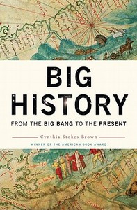 From The Big Bang To The Big Present di #Brown,  Cynthia Stokes edito da The New Press