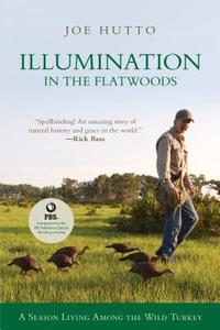 Illumination In The Flatwoods di Joe Hutto edito da Rowman & Littlefield