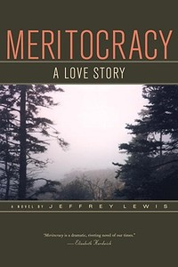 Meritocracy: A Love Story di Jeffrey Lewis edito da OTHER PR LLC