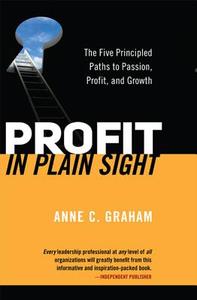 Solutions In Plain Sight di Anne C. Graham edito da Lvi Publishing (us)