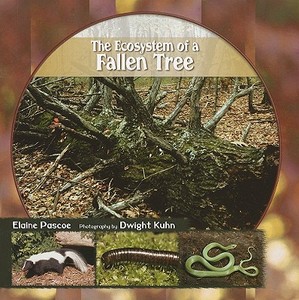 The Ecosystem of a Fallen Tree di Elaine Pascoe edito da Rosen Publishing Group