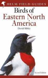 Fg Field Guide To The Birds Of East di SIBLEY DAVID edito da A&c Black