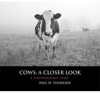 Cows: A Closer Look di Paul W. Thoresen edito da Borderland Books