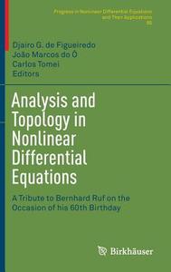 Analysis and Topology in Nonlinear Differential Equations edito da Springer International Publishing