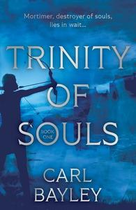 Trinity Of Souls di Carl Bayley edito da Troubador Publishing