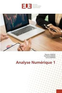 Analyse Numérique 1 di Naceur Khelil, Hathem Khelil, Leila Djerou edito da Éditions universitaires européennes