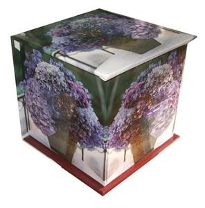 Hydrangea Memo Cube Plus Greeting Cards And Envelope edito da Anness Publishing