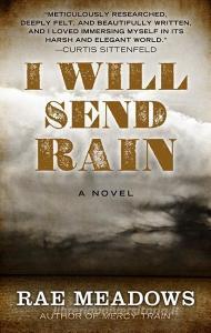 I Will Send Rain di Rae Meadows edito da THORNDIKE PR