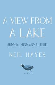 A View From A Lake di Neil Hayes edito da Troubador Publishing Ltd