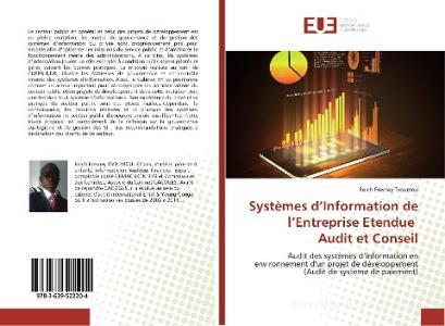 Systèmes d'Information de l'Entreprise Etendue Audit et Conseil di Reich Fresney Tsoumou edito da Editions universitaires europeennes EUE