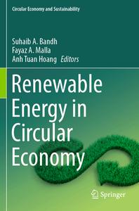 Renewable Energy in Circular Economy edito da Springer International Publishing