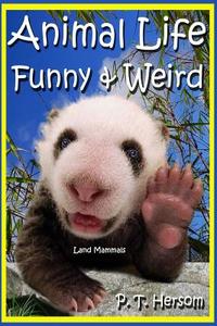Animal Life Funny & Weird Land Mammals: Learn with Amazing Photos and Fun Facts about Animals and Land Mammals di P. T. Hersom edito da Hersom House Publishing