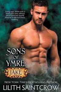 Sons of Ymre di Lilith Saintcrow edito da ImaJinn Books