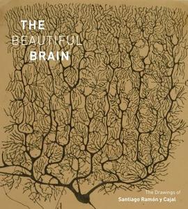 The Beautiful Brain di Javier DeFelipe, Larry Swanson edito da Abrams & Chronicle Books