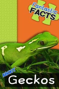 Fantastic Facts about Geckos: Illustrated Fun Learning for Kids di Miles Merchant edito da Createspace