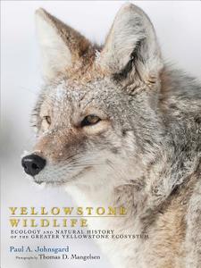 Yellowstone Wildlife di Paul A. Johnsgard edito da University Press of Colorado