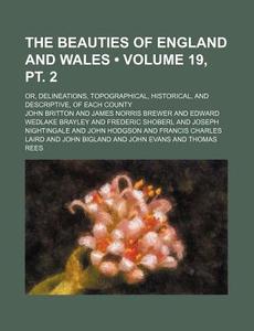 The Beauties Of England And Wales (volume 19, Pt. 2); Or, Delineations, Topographical, Historical, And Descriptive, Of Each County di John Britton edito da General Books Llc
