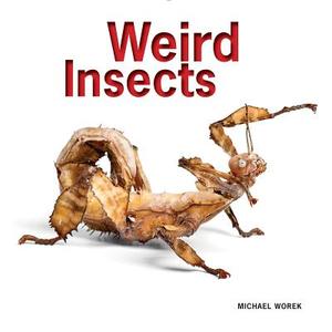 Weird Insects di Michael Worek edito da FIREFLY BOOKS LTD