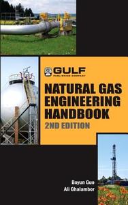 Natural Gas Engineering Handbook di Boyan Guo, Ali Ghalambor edito da GULF PUB CO (TX)