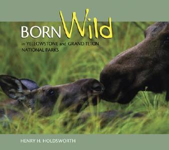 Born Wild in Yellowstone and Grand Teton National Parks di Henry Holdsworth edito da Farcountry Press