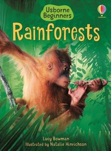 Rainforests di Lucy Bowman edito da USBORNE BOOKS