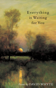 Everything Is Waiting for You di David Whyte edito da MANY RIVERS PR