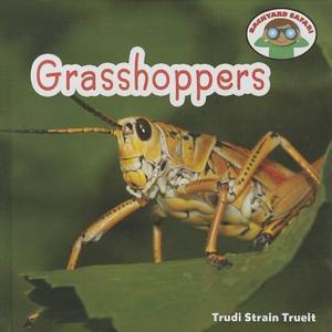 Grasshoppers di Trudi Strain Trueit edito da Cavendish Square Publishing