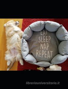 Eat Sleep Nap Repeat Corgi: Composition Book; Notebook di Robin C. Shepherd edito da LIGHTNING SOURCE INC