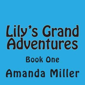 Lily's Grand Adventures: Book One di Mrs Amanda K. Miller edito da Createspace