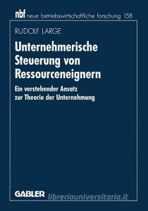 Unternehmerische Steuerung von Ressourceneignern di Rudolf Large edito da Gabler Verlag