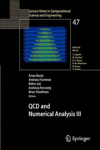 Qcd And Numerical Analysis Iii edito da Springer-verlag Berlin And Heidelberg Gmbh & Co. Kg