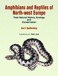 Amphibians & Reptiles of North-West Europe di I. F. Spellerberg edito da CRC Press
