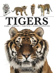 Tigers di Paula Hammond edito da AMBER BOOKS