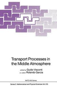 Transport Processes in the Middle Atmosphere edito da Springer Netherlands